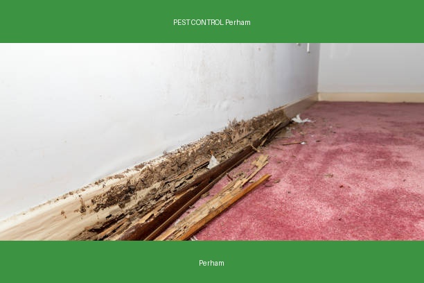 PEST CONTROL Perham
